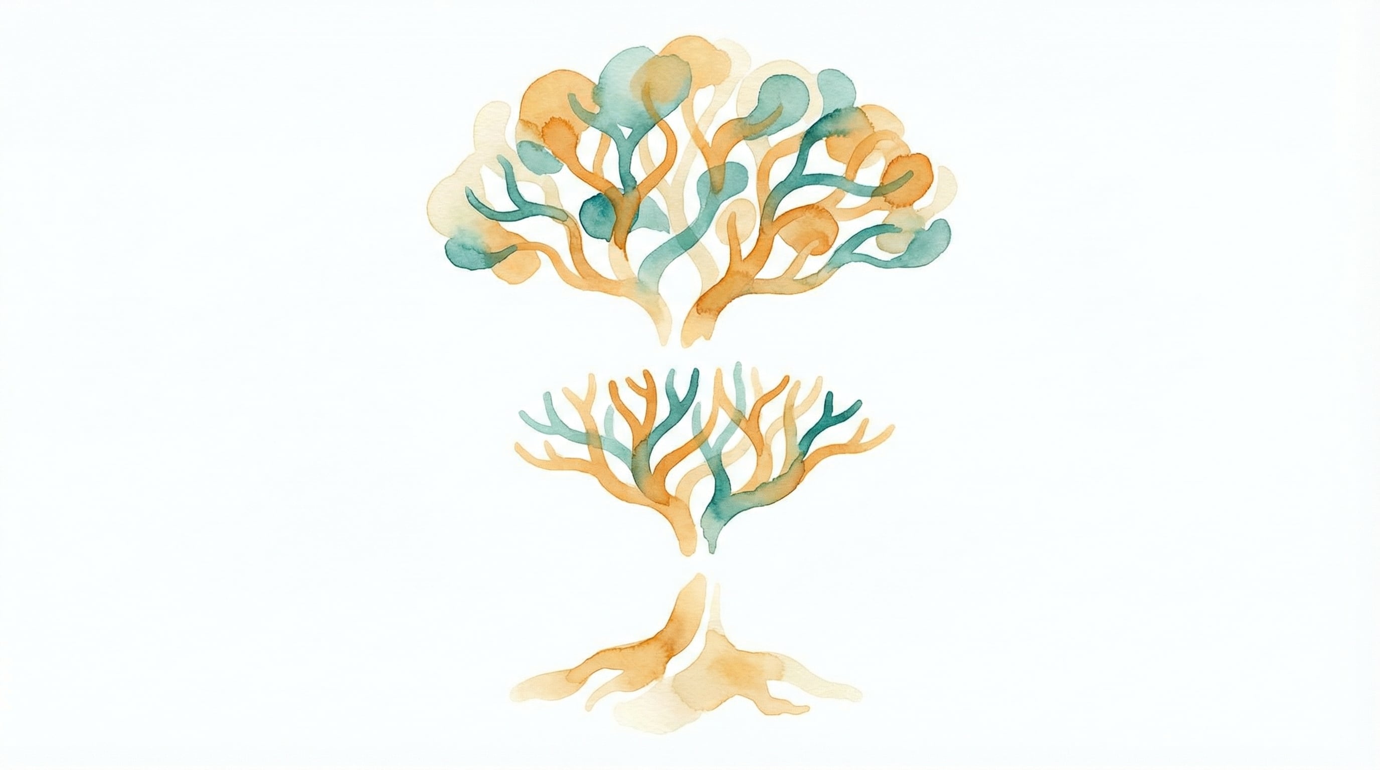 Three days: foundations, applied skills, integration