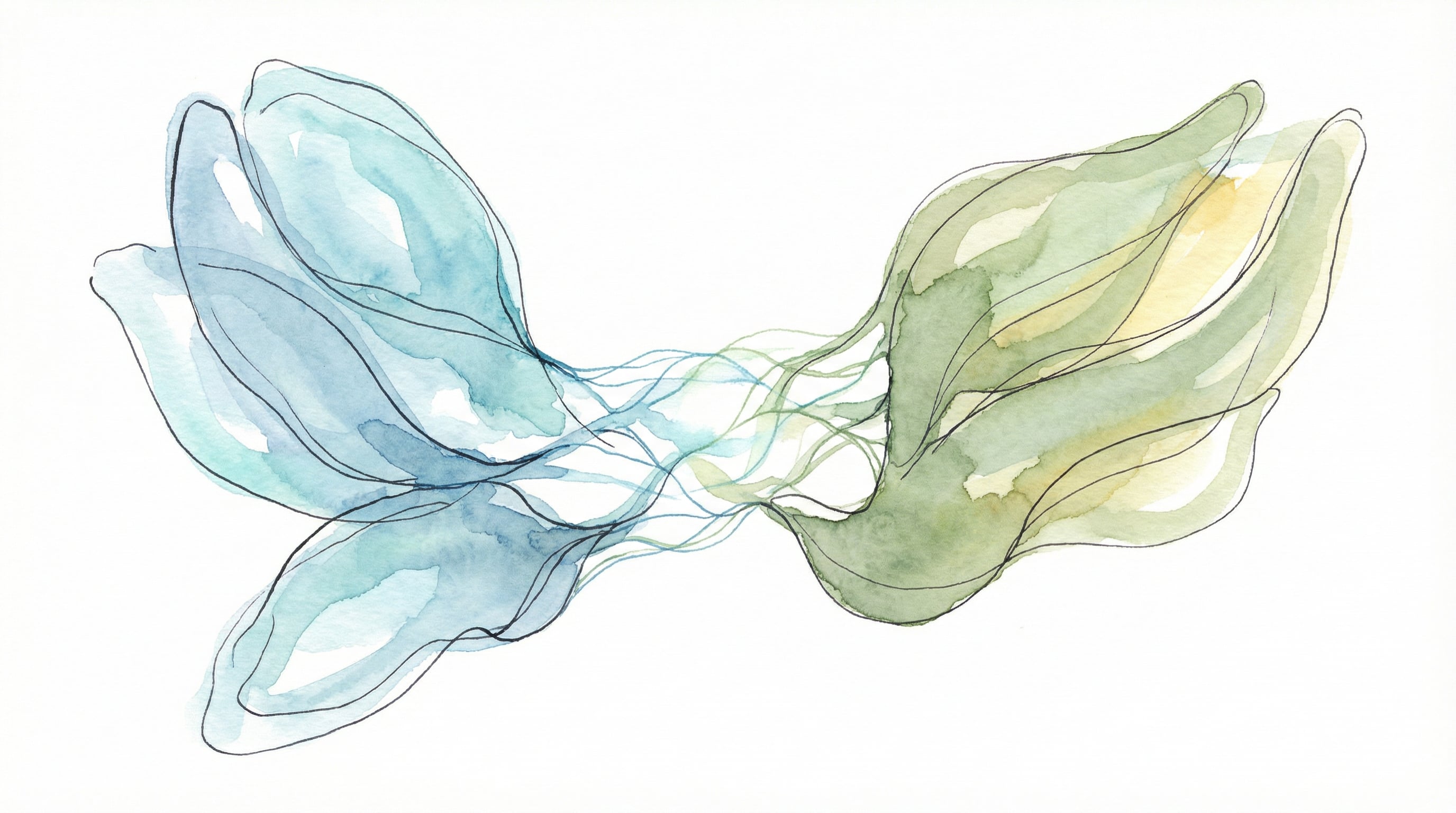 A two-sided platform connecting payers and providers