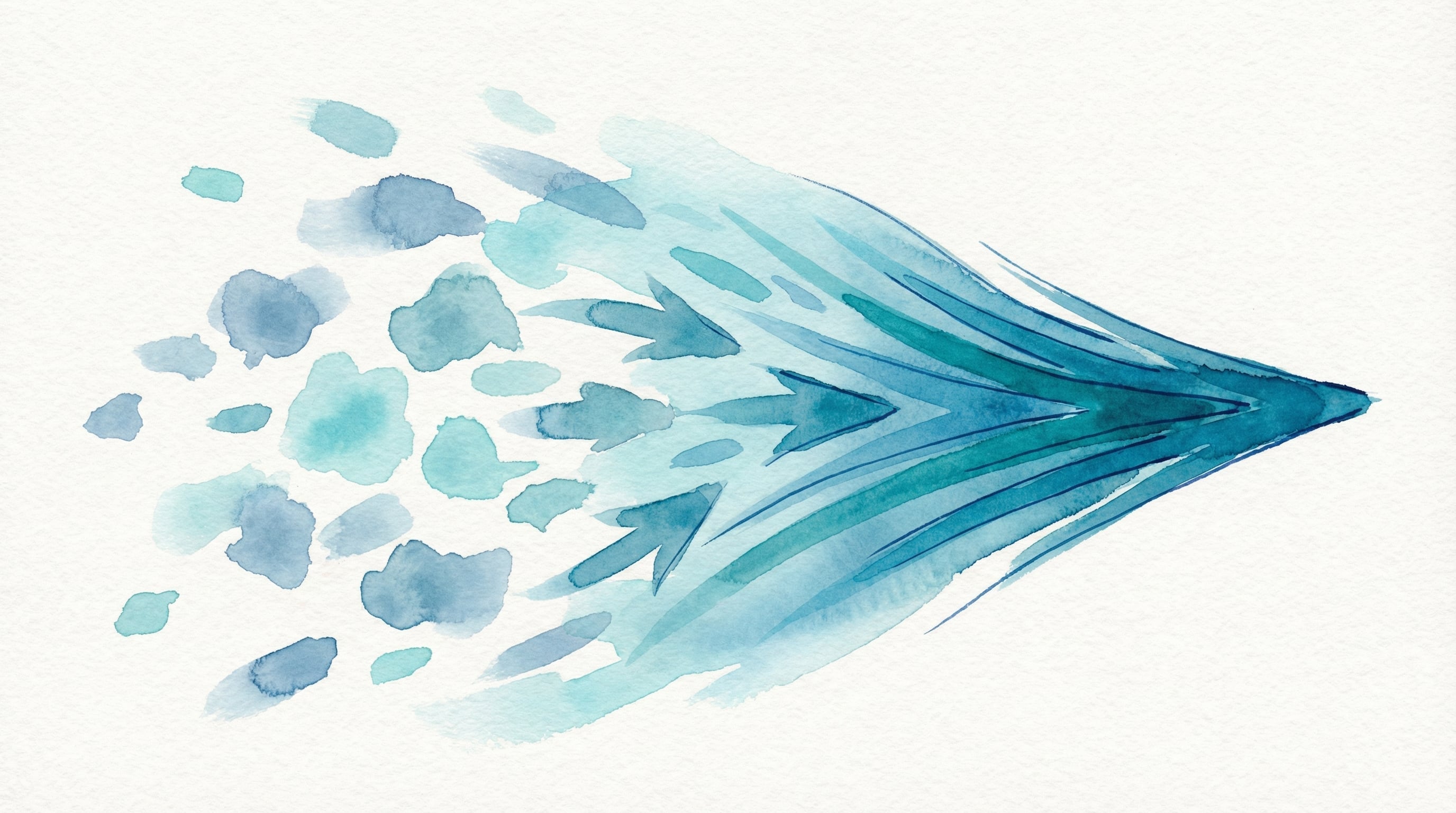 Speed through focus—shipping only what customers needed